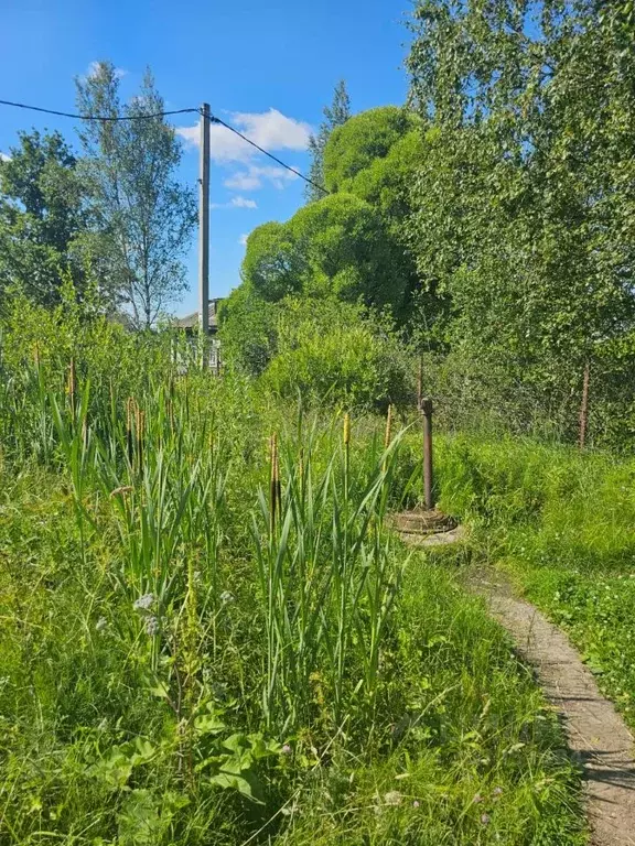 Дом в Новгородская область, Чудово ул. Возрождения, 15 (48 м) - Фото 1