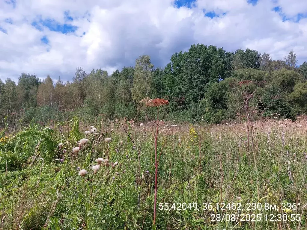 Участок в Московская область, Наро-Фоминский городской округ, д. ... - Фото 2