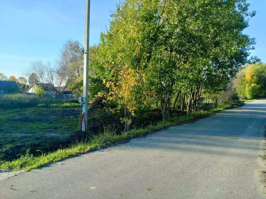 Участок в Московская область, Истра муниципальный округ, д. Бабкино  ... - Фото 1