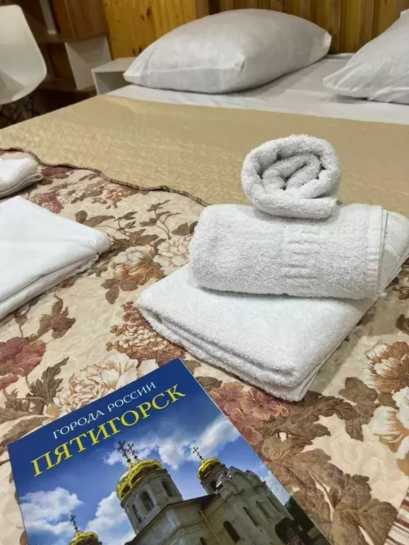 Комната Ставропольский край, Пятигорск городской округ, пос. ... - Фото 2