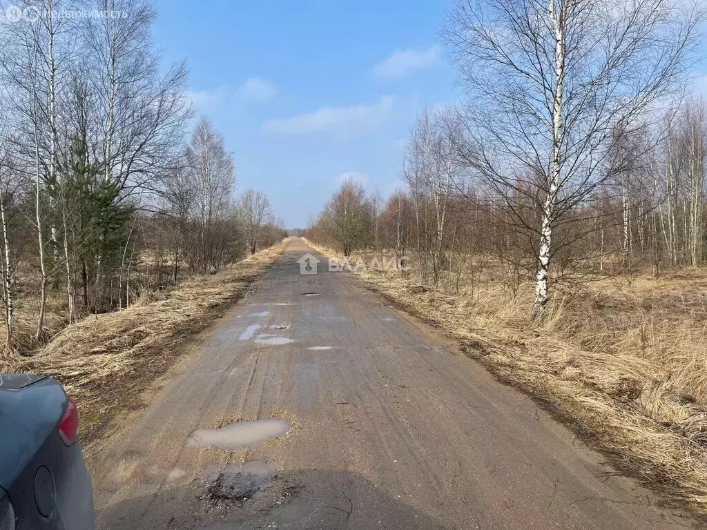 Участок в Тверская область, Старицкий муниципальный округ, ... - Фото 2