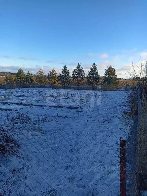 Участок в Вологодская область, д. Новоселово  (8.0 сот.) - Фото 1