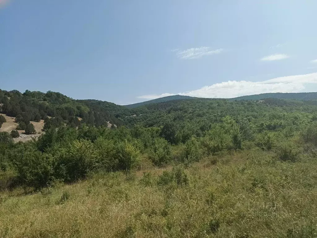 Участок в Севастополь с. Новобобровка, ул. Баденкиной (10.0 сот.) - Фото 0