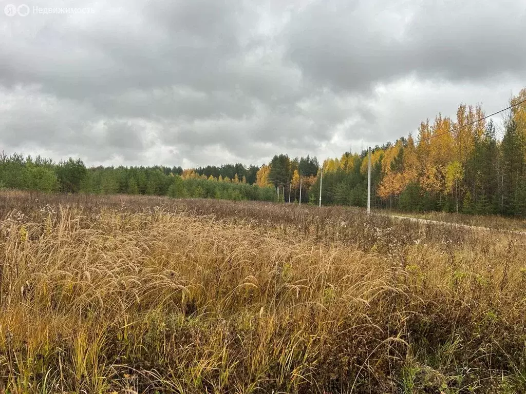 Участок в муниципальное образование Киров, деревня Олинцы (9.059999 м) - Фото 0