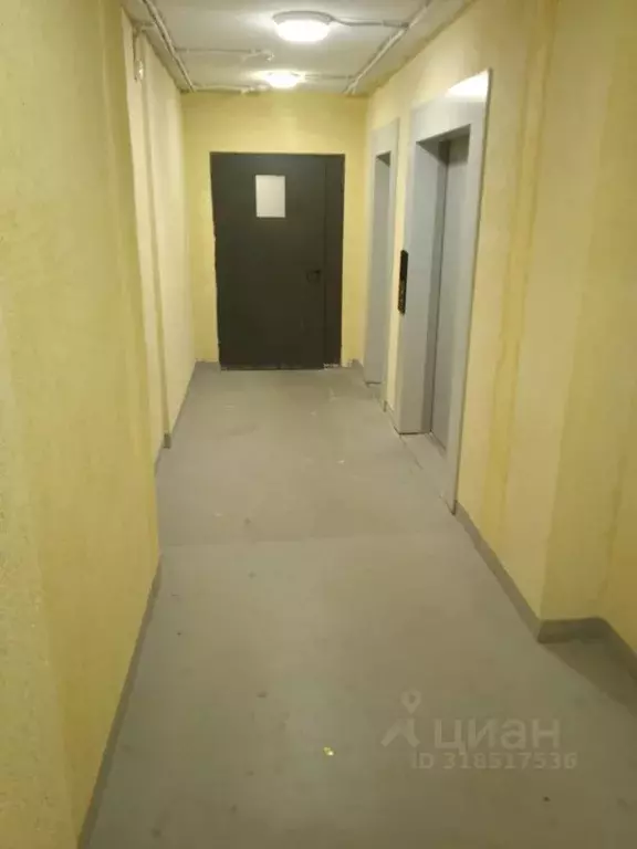 4-к кв. Ленинградская область, Мурино Всеволожский район, ул. Шоссе в ... - Фото 1