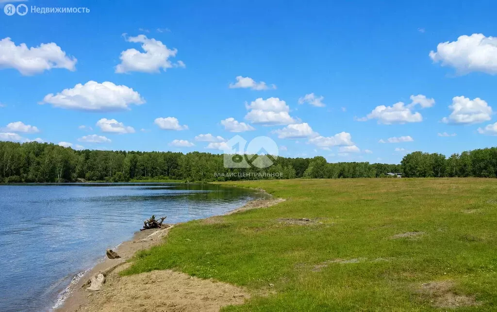 Участок в Ордынский район, Красноярский сельсовет (10.65 м) - Фото 2