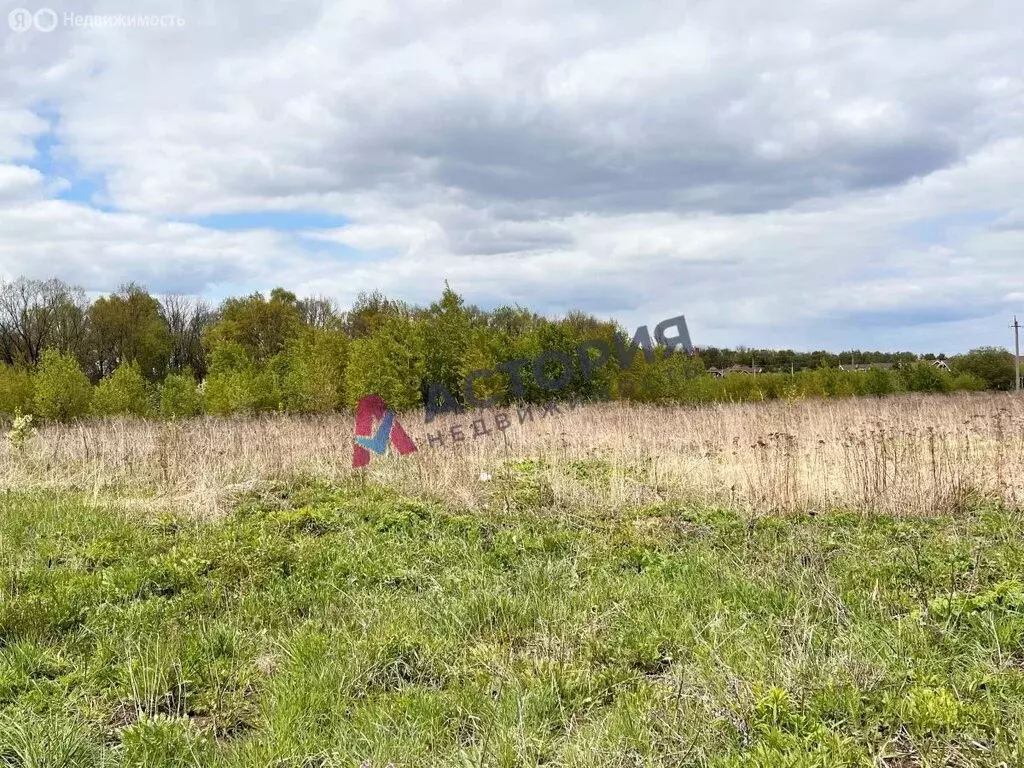 Участок в Тульская область, городской округ Тула, деревня Хопилово ... - Фото 1