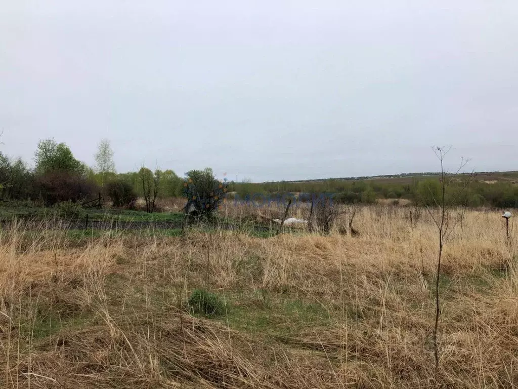 Участок в Нижегородская область, Нижний Новгород с. Слободское,  (25.0 ... - Фото 1