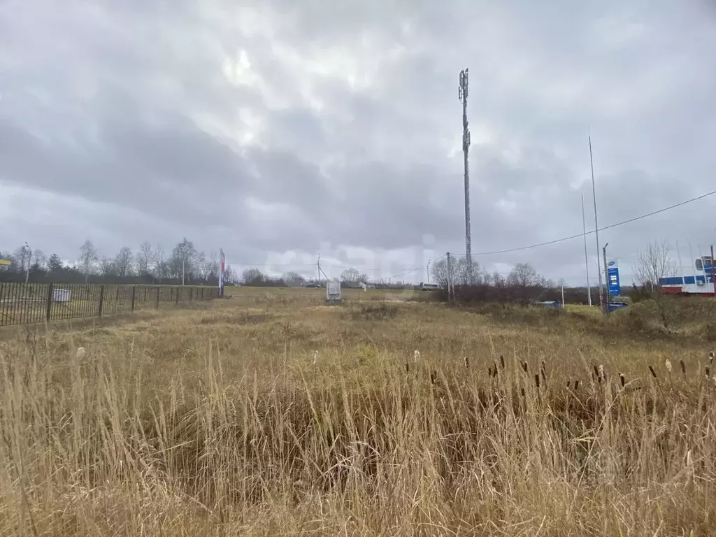 Участок в Костромская область, Волгореченск  (9.5 сот.) - Фото 1