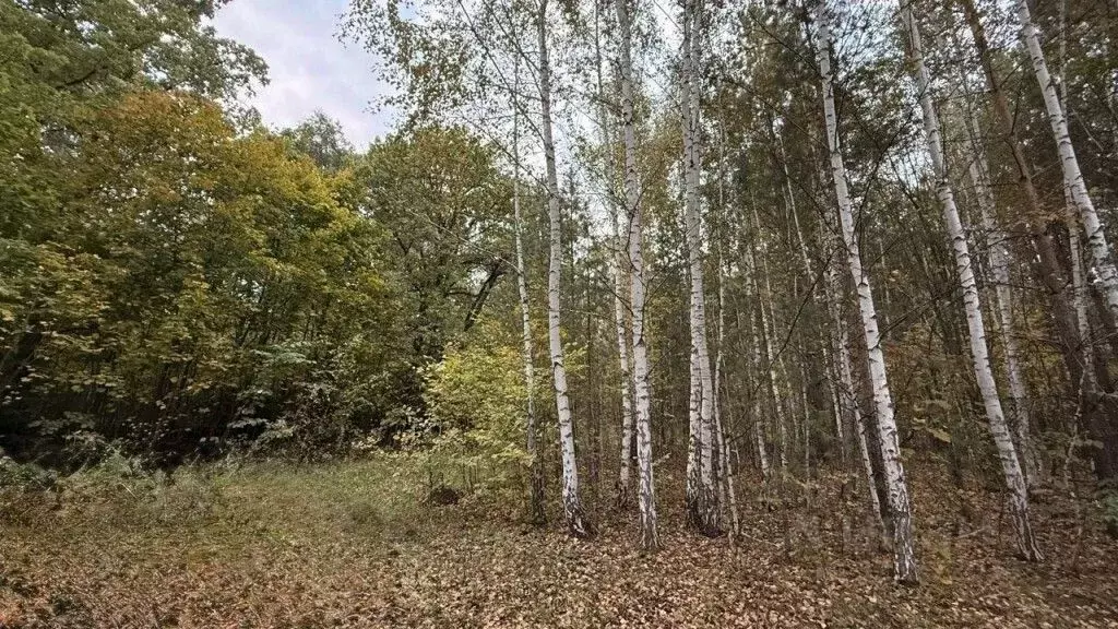 Участок в Башкортостан, Уфимский район, Юматовский сельсовет, д. ... - Фото 2