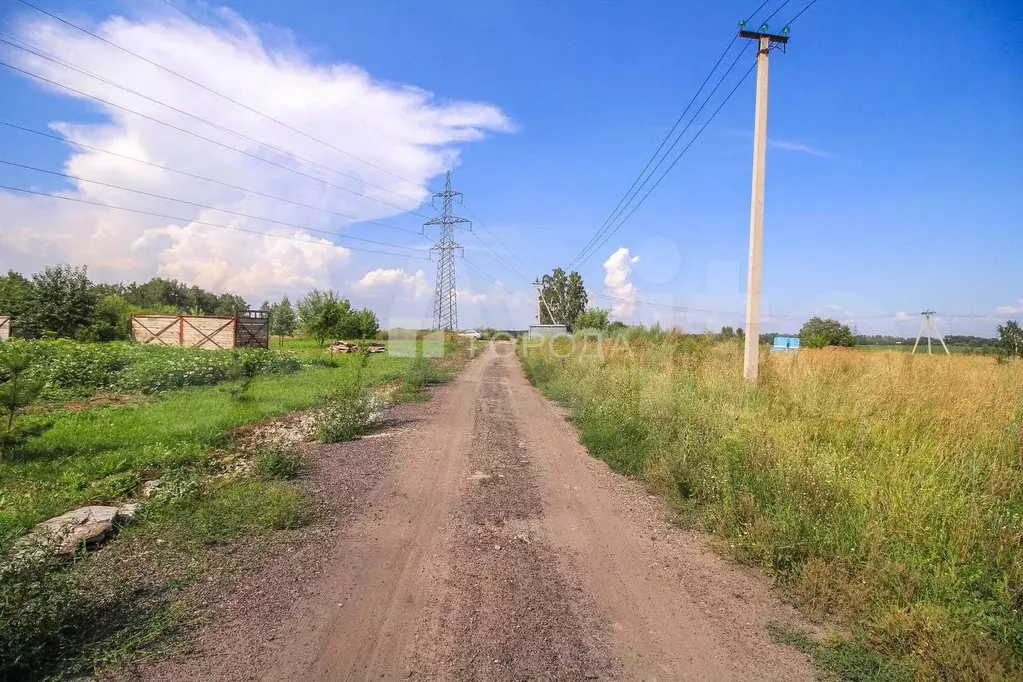 Участок 6,2 сот. (СНТ, ДНП) - Фото 1