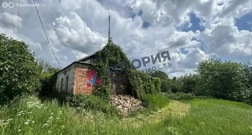 Дом в Щёкинский район, сельское поселение Крапивенское, деревня ... - Фото 1