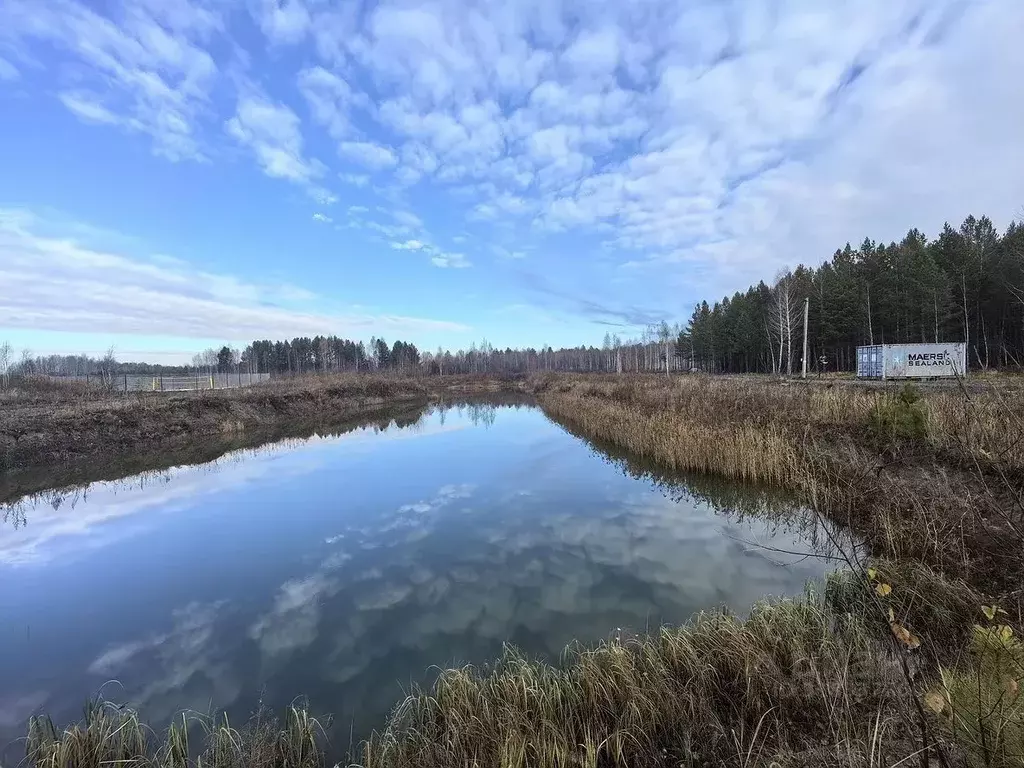 Участок в Тюменская область, Тюмень Березка СНТ, ул. 8-я Садовая, 4 ... - Фото 1