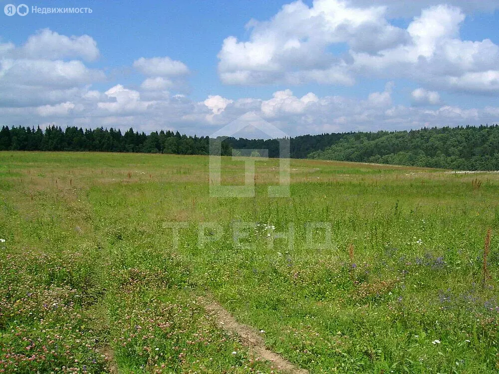 Участок в Ленинградская область, Гатчинский муниципальный округ, ... - Фото 1