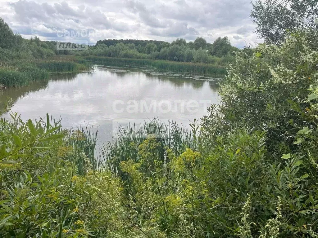 Участок в Московская область, Чехов городской округ, д. Пешково  (11.0 ... - Фото 0