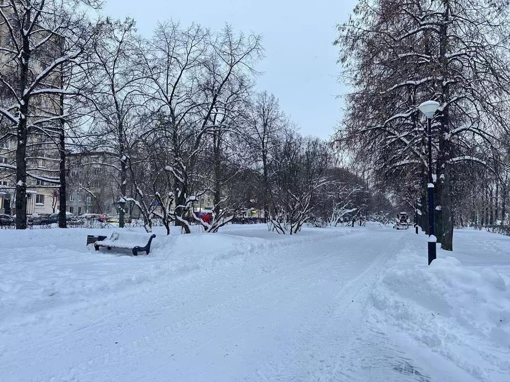 Студия Москва Сиреневый бул., 15 (11.1 м) - Фото 2