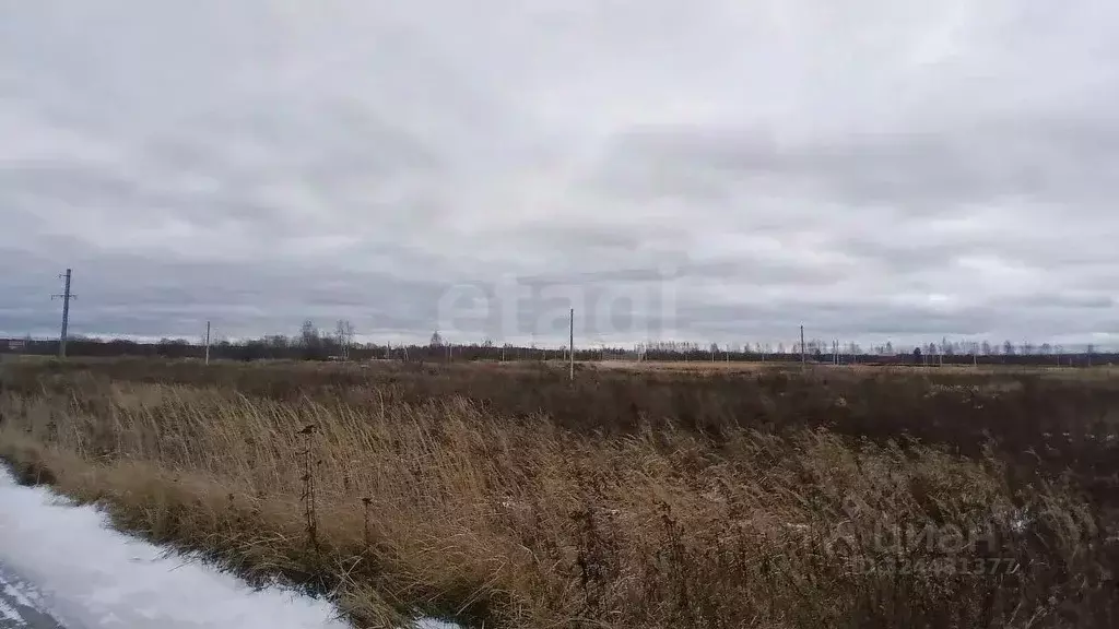 Участок в Костромская область, Судиславский район, Воронское с/пос, д. ... - Фото 1