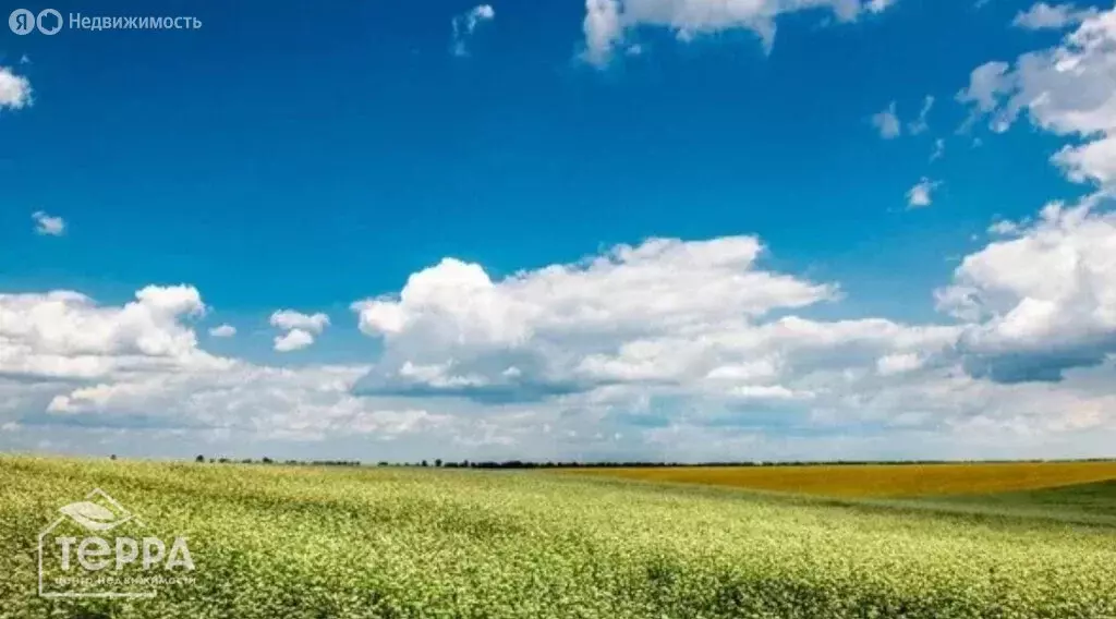 Участок в Сакский район, село Молочное (450 м) - Фото 0