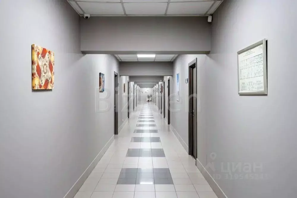 Офис в Санкт-Петербург Левашовский просп., 15 (54 м) - Фото 0