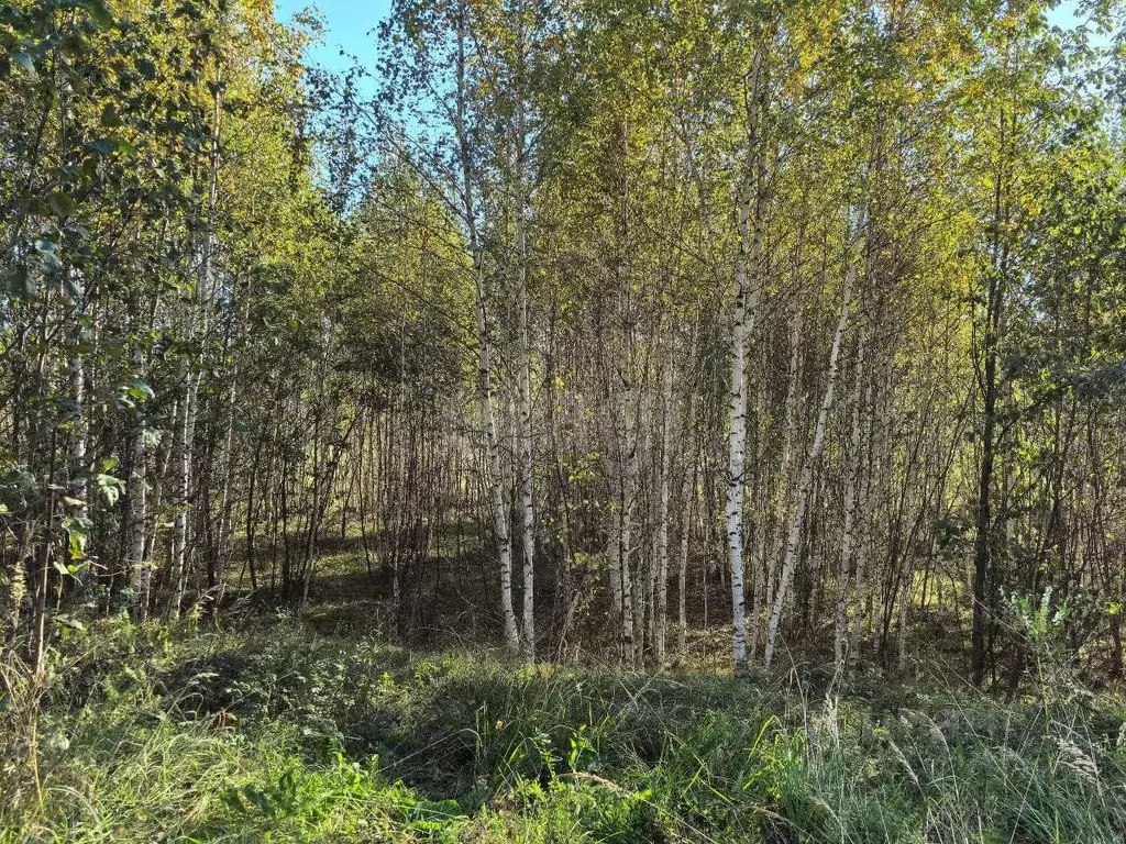 Участок в Свердловская область, Верх-Нейвинский пгт ул. Арапова, 100к6 ... - Фото 1