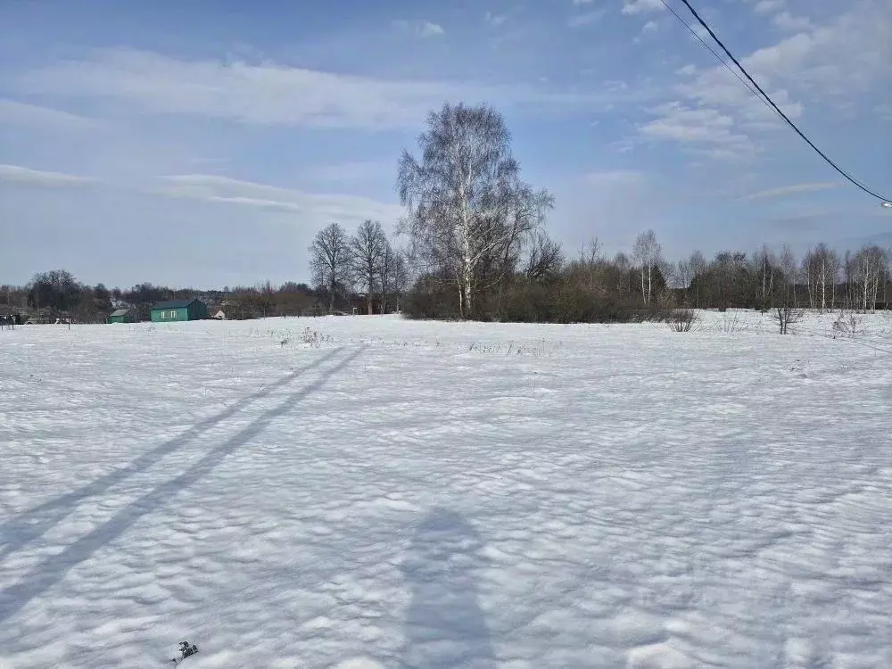 Участок в Московская область, Ступино городской округ, с. Хонятино ул. ... - Фото 1