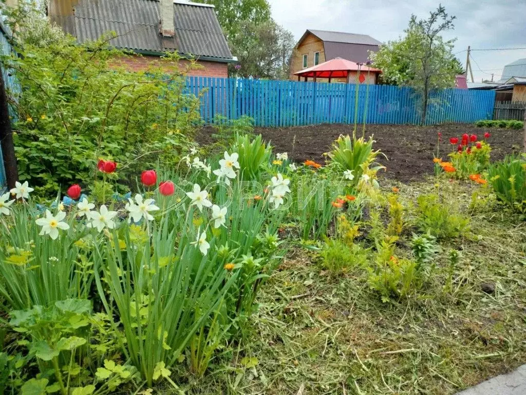 Участок 4 сот. (СНТ, ДНП) - Фото 0
