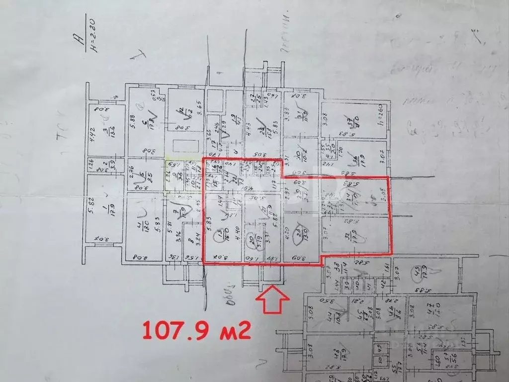 Помещение свободного назначения в Краснодарский край, Геленджик ... - Фото 2
