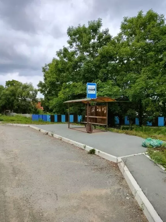 Участок в Приморский край, Артемовский городской округ, с. Ясное ул. ... - Фото 1