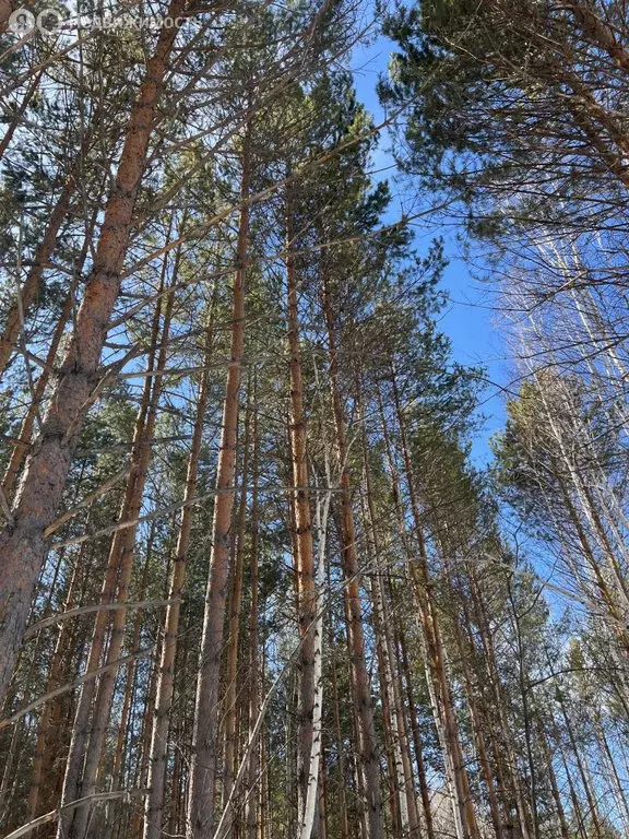 Участок в посёлок Габиевский, квартал Лисий Лес (13.76 м) - Фото 1