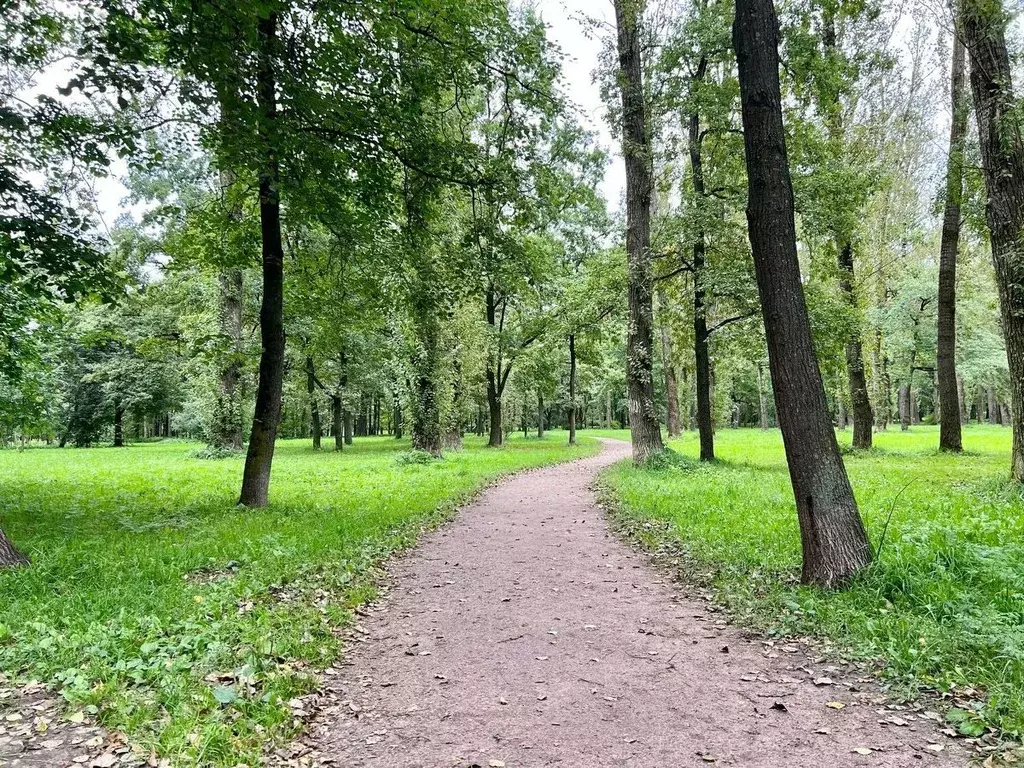 1-к кв. Санкт-Петербург ул. Пограничника Гарькавого, 14К2 (33.1 м) - Фото 2