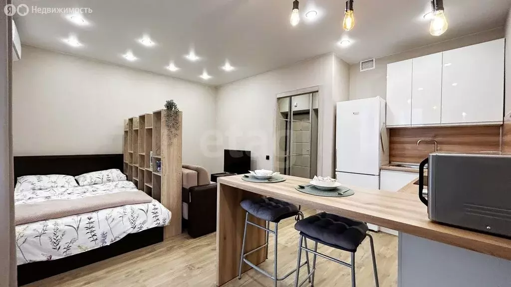 Квартира-студия: Казань, проезд Юнуса Ахметзянова, 10 (27.6 м) - Фото 1