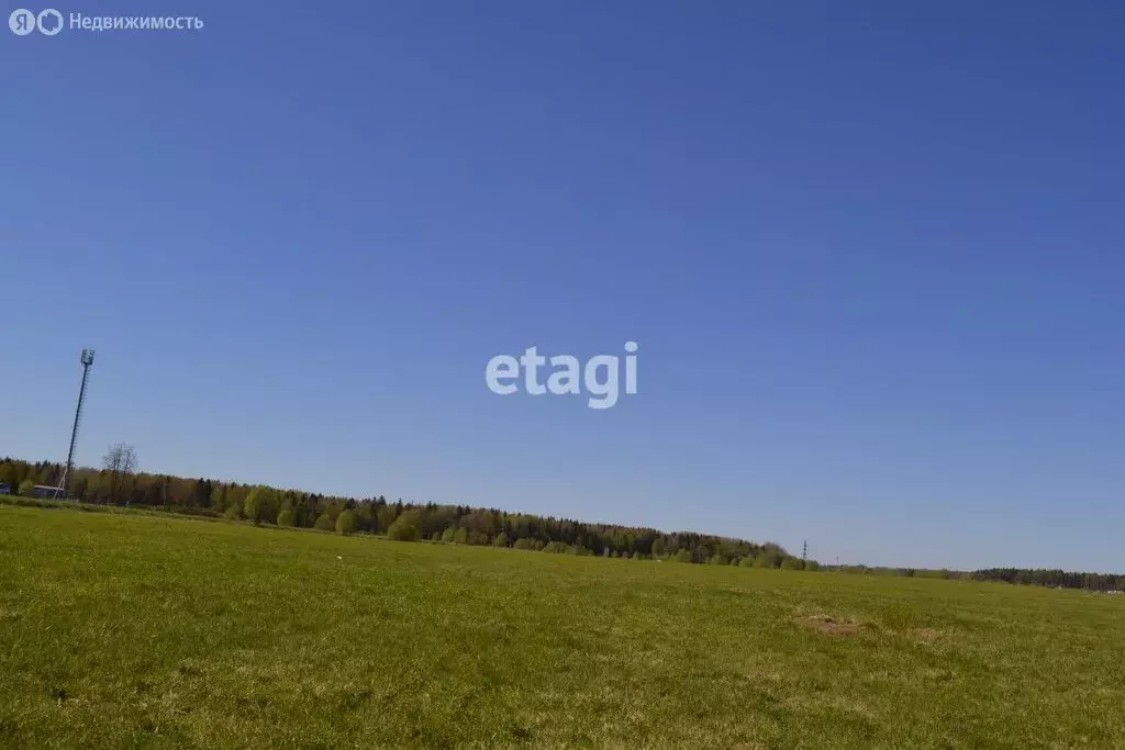 Участок в Лопухинское сельское поселение, деревня Горки (250 м) - Фото 2