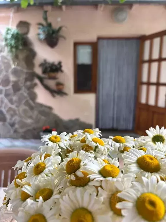 Дом в Крым, Алушта ул. Карла Маркса, 4 (30 м) - Фото 1