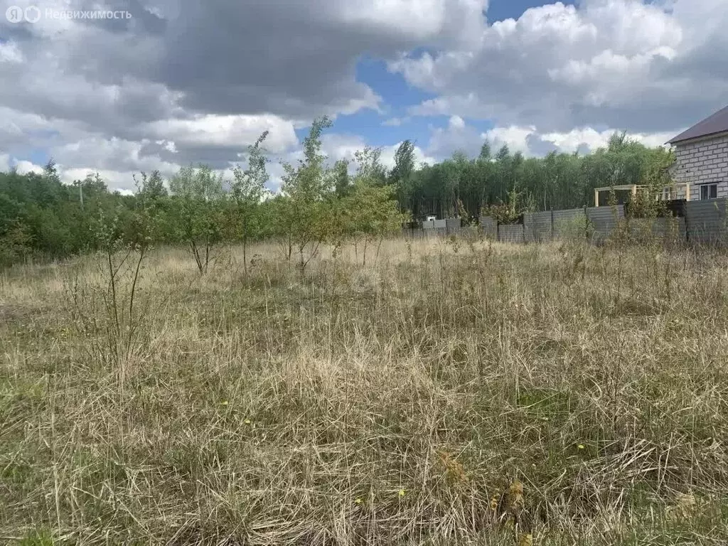 Участок в Тульская область, городской округ Тула, село Тёплое, ... - Фото 2