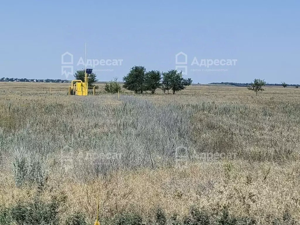 Участок в Волгоградская область, Волгоград ул. Венгерская (6.42 сот.) - Фото 1