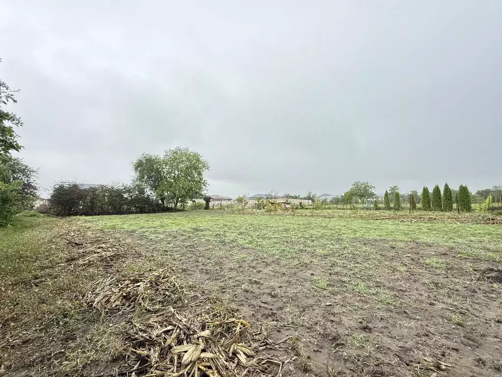 Участок в Кабардино-Балкария, Чегемский район, с. Нартан Клишбиевская ... - Фото 1