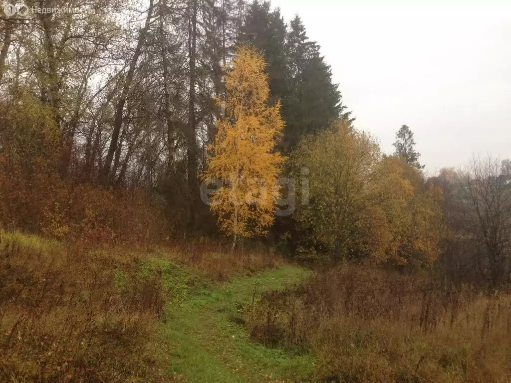 Участок в Московская область, городской округ Балашиха, деревня ... - Фото 0