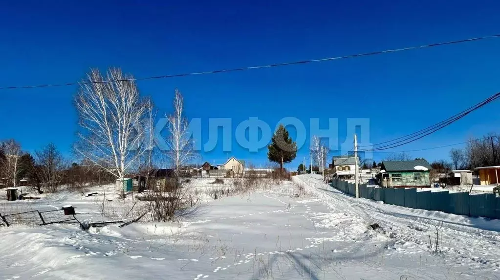 Участок в Новосибирская область, Новосибирск Ветеран СНТ, ул. ... - Фото 2