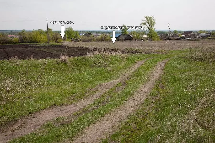 Участок в Пензенская область, с. Бессоновка ул. Большой Колояр, 196 ... - Фото 0