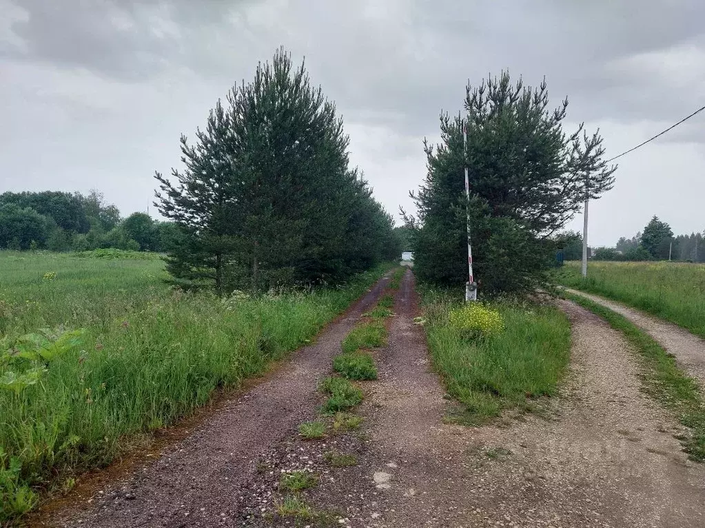 Участок в Ленинградская область, Волосовский район, Большеврудское ... - Фото 1