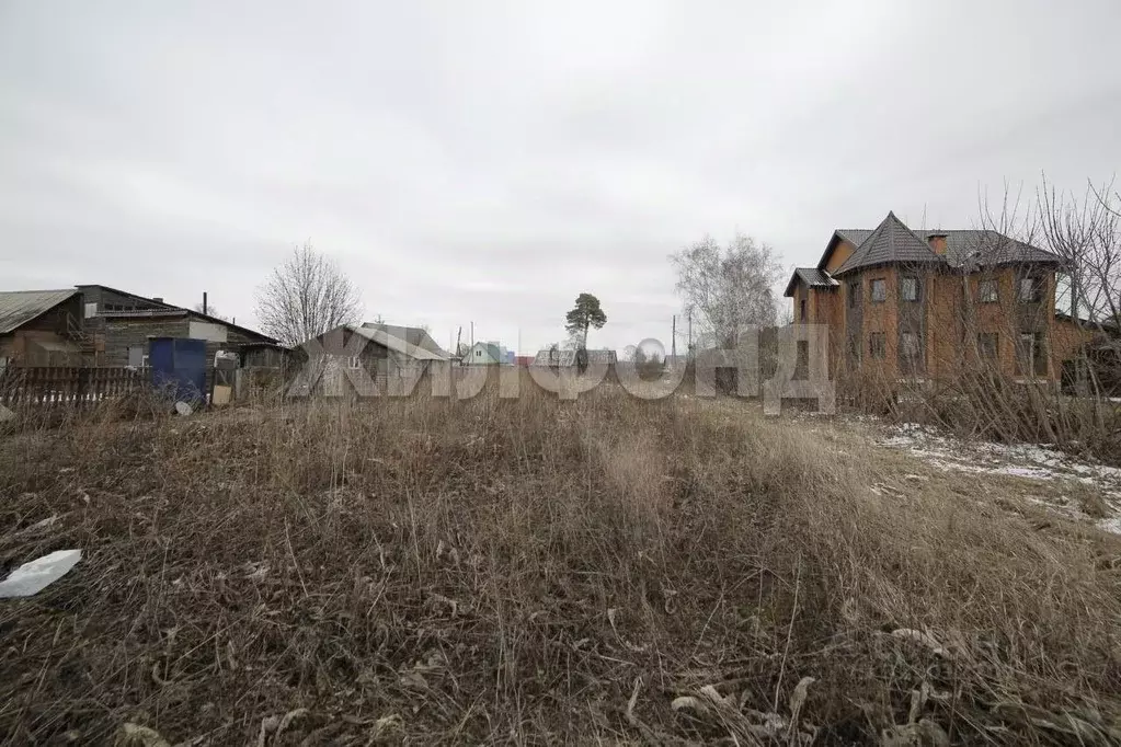 Участок в Новосибирская область, Ордынское рп ул. Мира (16.2 сот.) - Фото 1