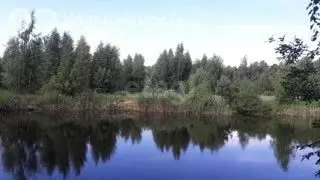 Участок в Ярославский муниципальный округ, деревня Ярцево (13 м) - Фото 2