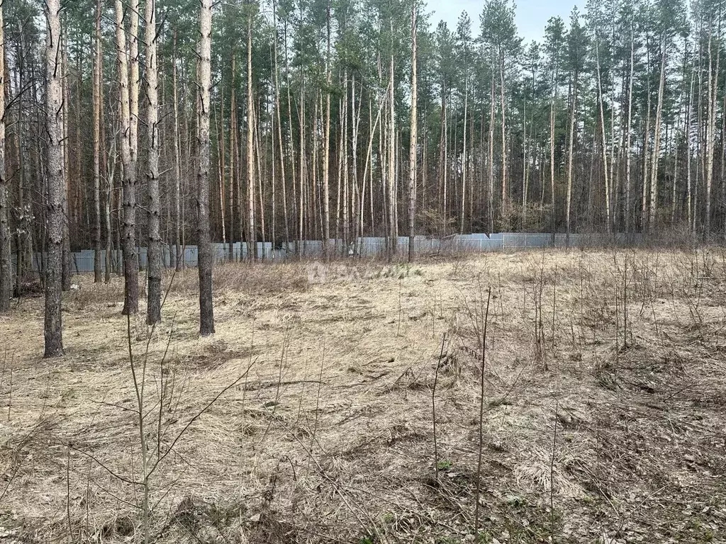Участок в Пензенская область, Пензенский район, Богословский ... - Фото 1