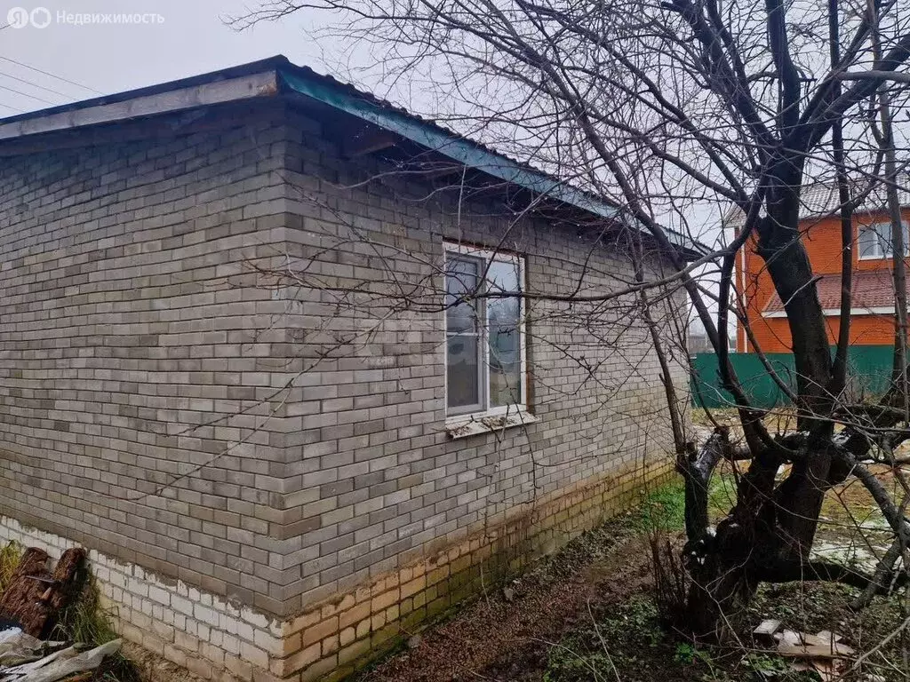 Дом в село Новоживотинное, улица Свободы (45.2 м) - Фото 2