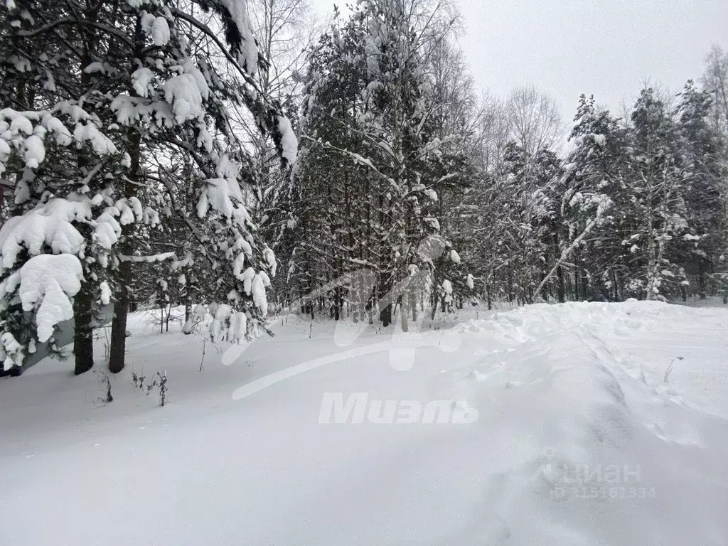 Участок в Владимирская область, Киржачский район, Филипповское ... - Фото 2