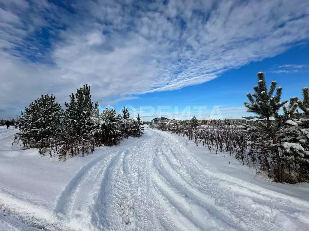 Участок в Тюменская область, Тюменский муниципальный округ, д. Елань ... - Фото 1