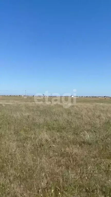 Участок в Крым, Сакский район, Молочненское с/пос, с. Витино  (6.0 ... - Фото 1