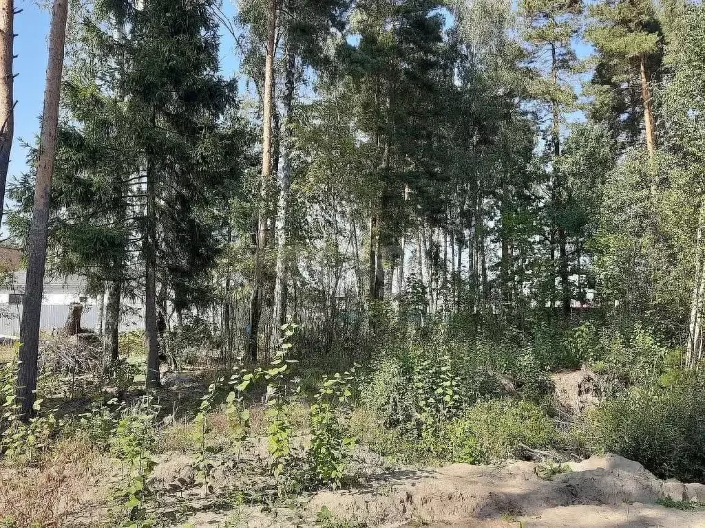 Участок в Московская область, Балашиха городской округ, д. Дятловка, ... - Фото 1