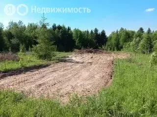 Участок в Пермский край, Соликамский муниципальный округ, село ... - Фото 1