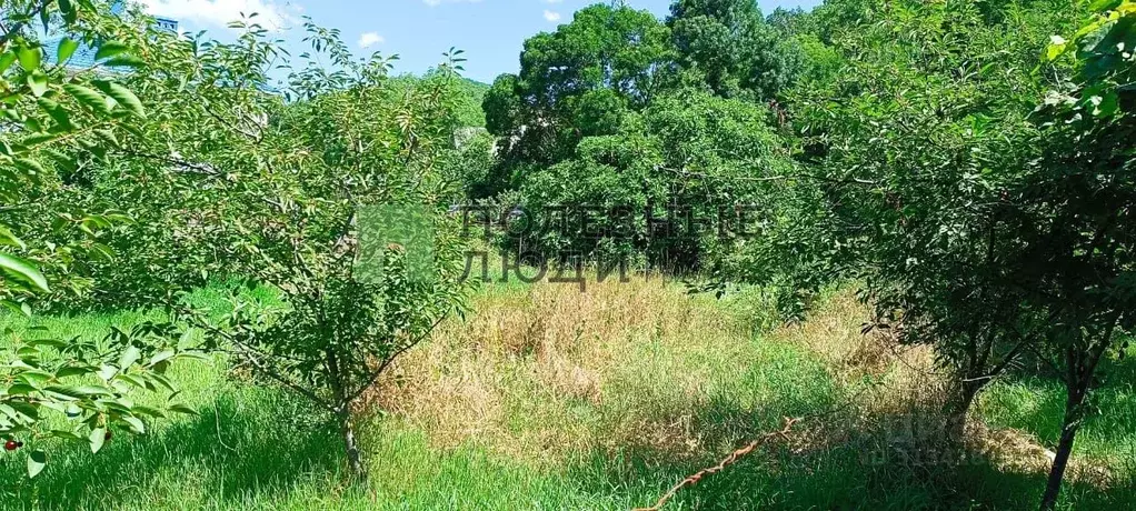 Участок в Краснодарский край, Новороссийск городской округ, с. Мысхако ... - Фото 2